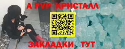 амф Гусев