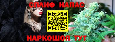 молекула духа Донецк