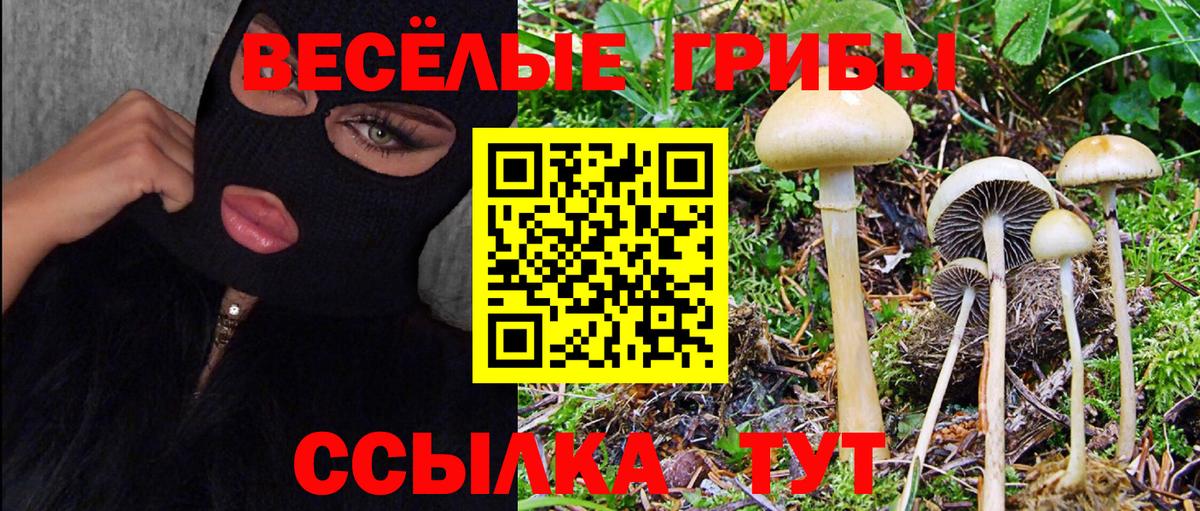 Псилоцибиновые грибы ЛСД Вышний Волочёк